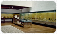 Museo Provincial